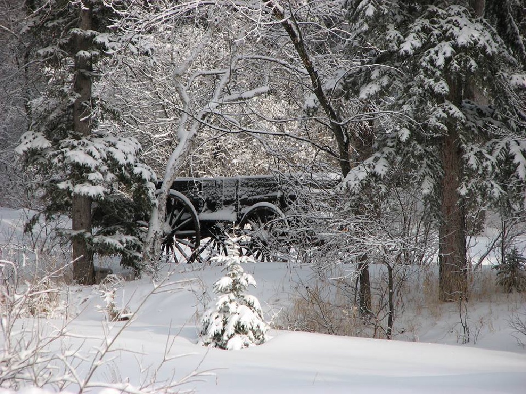Spearfish Canyon 2-6-15.jpg
